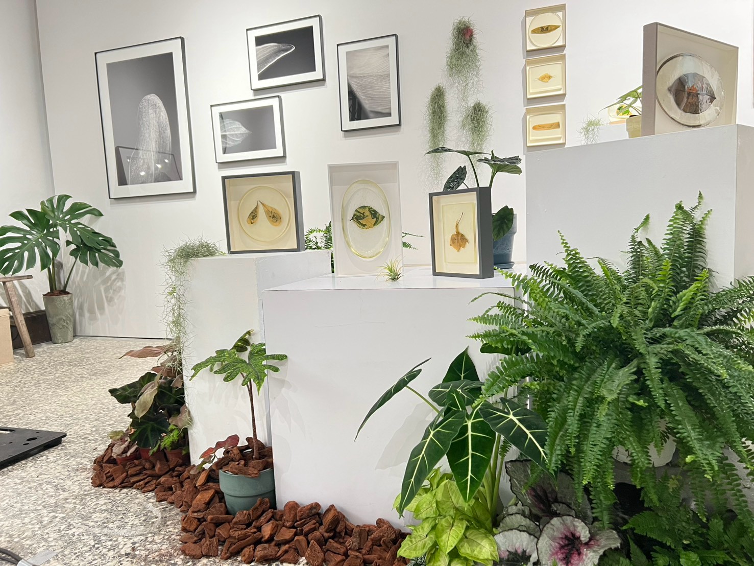 展場植栽完成場景