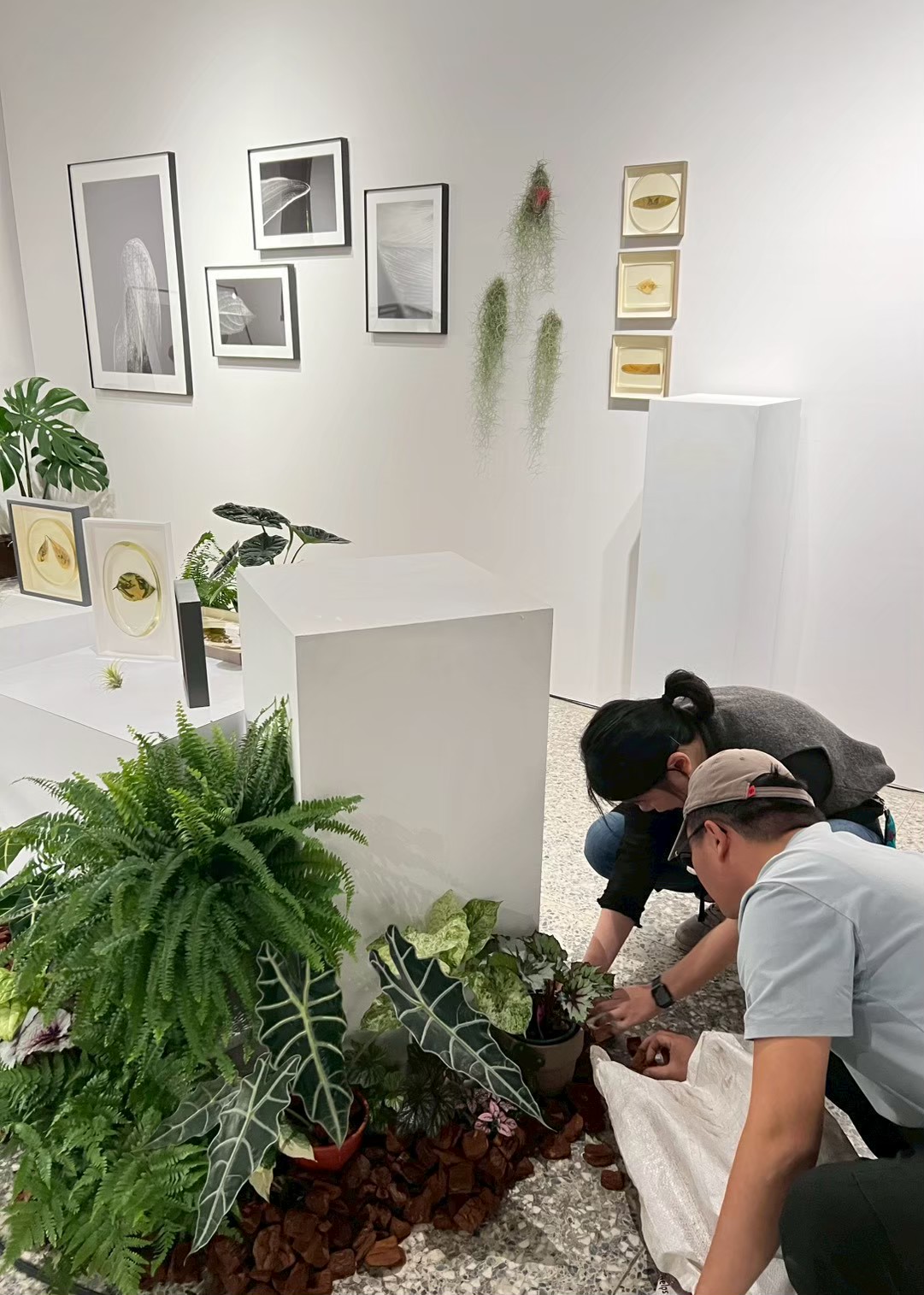 荷森工作室展場活動植栽進場佈置